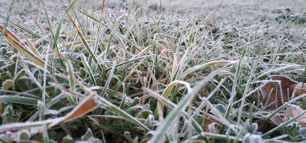 До 15 градусов мороза обещают в Беларуси 9 марта. А что в Барановичах? До 15 градусов мороза обещают в Беларуси 9 марта. А что в Барановичах?