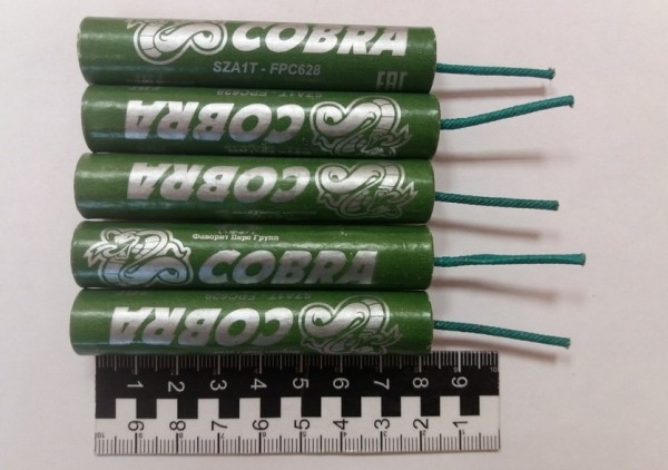 Двух мужчин обвиняют в том, что они планировали уничтожать военную технику РФ в Мозыре Двух мужчин обвиняют в том, что они планировали уничтожать военную технику РФ в Мозыре