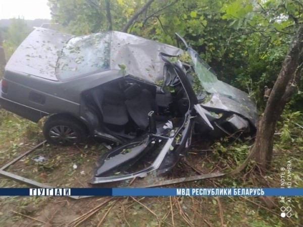 Ехала пьяная и без прав: суд в Каменце за ДТП приговорил женщину к 4 годам колонии-поселения Ехала пьяная и без прав: суд в Каменце за ДТП приговорил женщину к 4 годам колонии-поселения