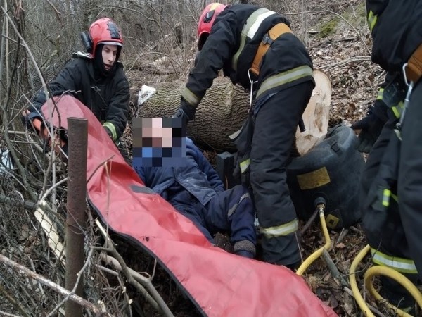 В Мозыре на мужчину упало дерево. Фото и видео В Мозыре на мужчину упало дерево. Фото и видео