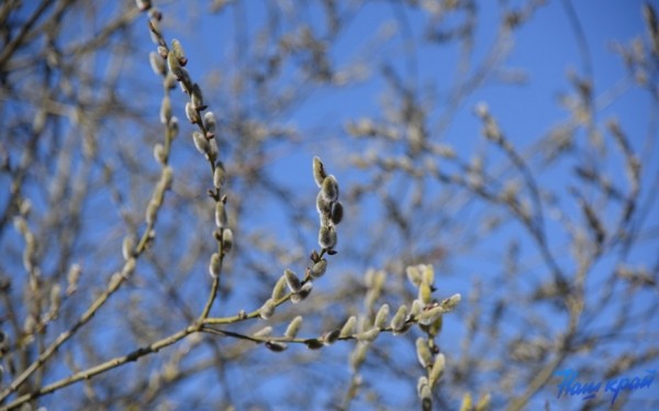 Кратковременный снег и гололедицу прогнозируют в Беларуси на 9 марта