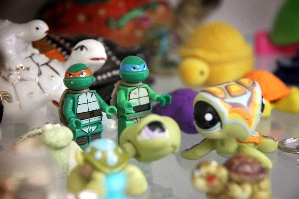 «Муж дарит не кольца, а черепашек». Огромную коллекцию декоративных черепах собрала жительница Барановичей «Муж дарит не кольца, а черепашек». Огромную коллекцию декоративных черепах собрала жительница Барановичей