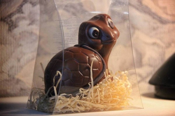 «Муж дарит не кольца, а черепашек». Огромную коллекцию декоративных черепах собрала жительница Барановичей «Муж дарит не кольца, а черепашек». Огромную коллекцию декоративных черепах собрала жительница Барановичей