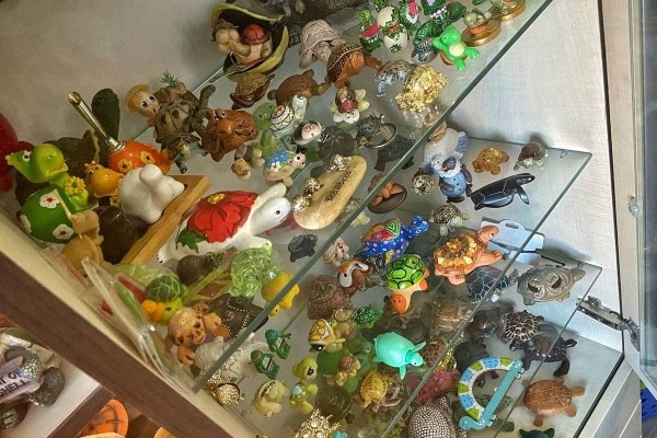 «Муж дарит не кольца, а черепашек». Огромную коллекцию декоративных черепах собрала жительница Барановичей «Муж дарит не кольца, а черепашек». Огромную коллекцию декоративных черепах собрала жительница Барановичей