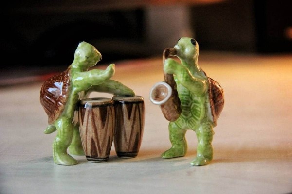 «Муж дарит не кольца, а черепашек». Огромную коллекцию декоративных черепах собрала жительница Барановичей «Муж дарит не кольца, а черепашек». Огромную коллекцию декоративных черепах собрала жительница Барановичей