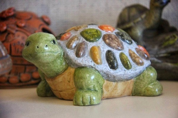 «Муж дарит не кольца, а черепашек». Огромную коллекцию декоративных черепах собрала жительница Барановичей «Муж дарит не кольца, а черепашек». Огромную коллекцию декоративных черепах собрала жительница Барановичей