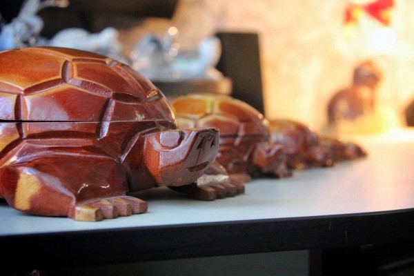 «Муж дарит не кольца, а черепашек». Огромную коллекцию декоративных черепах собрала жительница Барановичей «Муж дарит не кольца, а черепашек». Огромную коллекцию декоративных черепах собрала жительница Барановичей