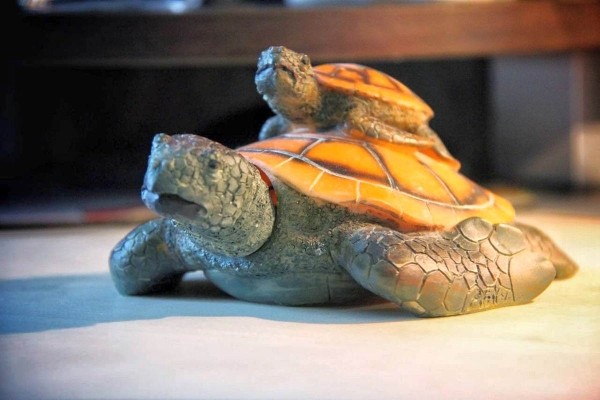 «Муж дарит не кольца, а черепашек». Огромную коллекцию декоративных черепах собрала жительница Барановичей «Муж дарит не кольца, а черепашек». Огромную коллекцию декоративных черепах собрала жительница Барановичей