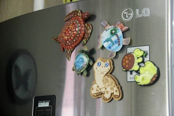 «Муж дарит не кольца, а черепашек». Огромную коллекцию декоративных черепах собрала жительница Барановичей «Муж дарит не кольца, а черепашек». Огромную коллекцию декоративных черепах собрала жительница Барановичей