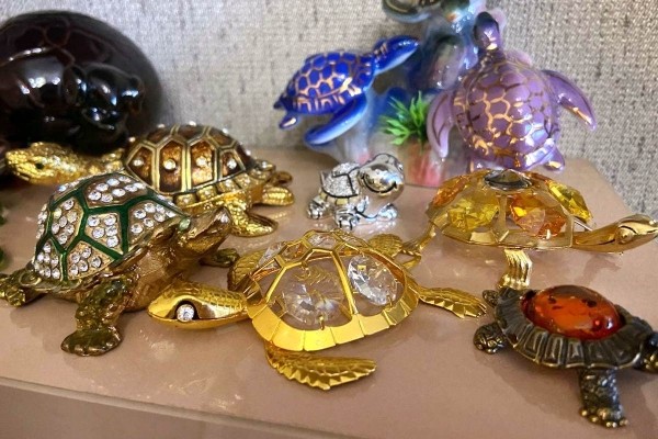 «Муж дарит не кольца, а черепашек». Огромную коллекцию декоративных черепах собрала жительница Барановичей «Муж дарит не кольца, а черепашек». Огромную коллекцию декоративных черепах собрала жительница Барановичей