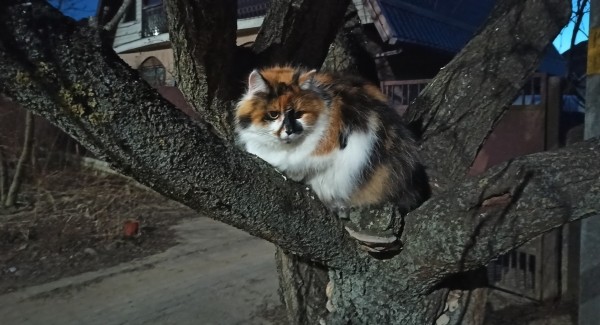 Надевать ли подштанники? Погода в Барановичах 18 марта