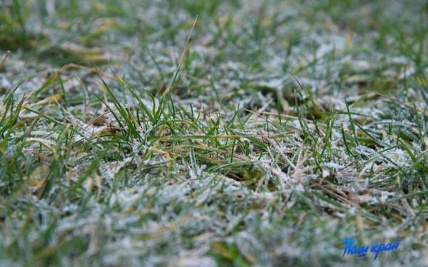 Ночью гололедицу, днем до плюс 11 прогнозируют в Беларуси 14 марта Ночью гололедицу, днем до плюс 11 прогнозируют в Беларуси 14 марта