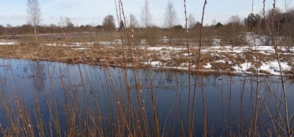 Погода изменится? Прогноз на 13 марта