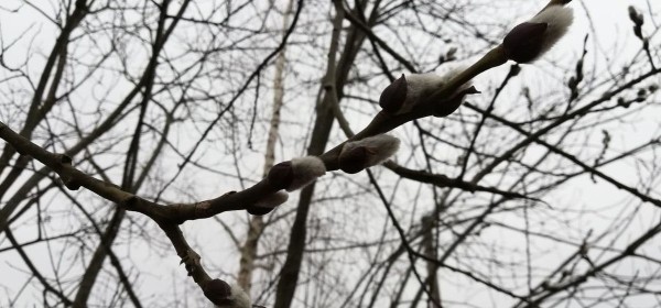 Прятать ли теплые вещи в шкаф?&nbsp; Прогноз погоды на 22 марта