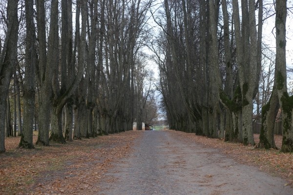 Путешествие одного дня: Очаровательная часовня и загадочная усадьба – что посмотреть и чему удивиться в Грушевке Путешествие одного дня: Очаровательная часовня и загадочная усадьба – что посмотреть и чему удивиться в Грушевке