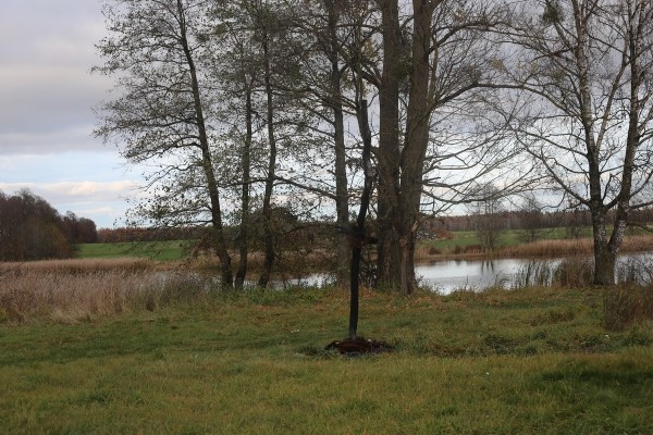 Путешествие одного дня: Очаровательная часовня и загадочная усадьба – что посмотреть и чему удивиться в Грушевке Путешествие одного дня: Очаровательная часовня и загадочная усадьба – что посмотреть и чему удивиться в Грушевке