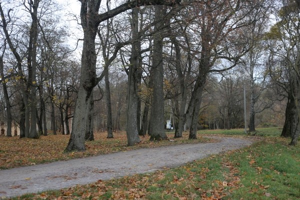 Путешествие одного дня: Очаровательная часовня и загадочная усадьба – что посмотреть и чему удивиться в Грушевке Путешествие одного дня: Очаровательная часовня и загадочная усадьба – что посмотреть и чему удивиться в Грушевке