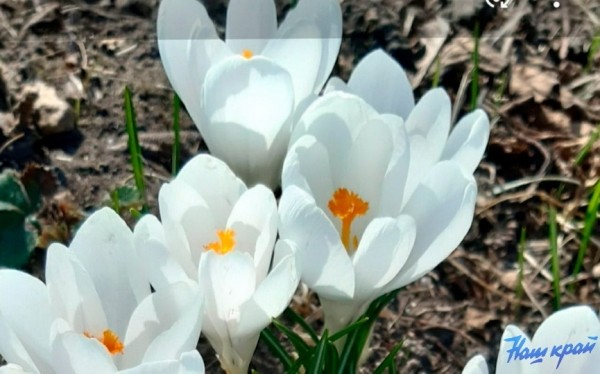 Рекорды температур. Как в Барановичах изменится погода 24 марта Рекорды температур. Как в Барановичах изменится погода 24 марта