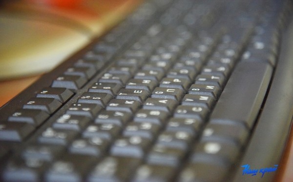 В Барановичах снижается число киберпреступлений