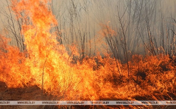 В Беларуси за сутки ликвидированы 3 лесных, 2 торфяных и 197 пожаров травы и кустарников В Беларуси за сутки ликвидированы 3 лесных, 2 торфяных и 197 пожаров травы и кустарников