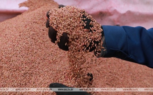 Заяц: Беларусь самодостаточна в обеспечении продовольственного рынка Заяц: Беларусь самодостаточна в обеспечении продовольственного рынка