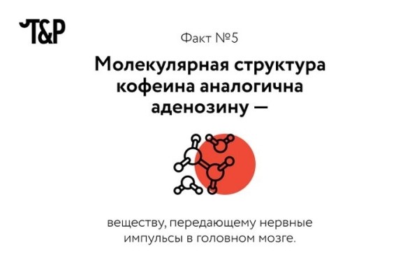 Разрешённый наркотик: несколько фактов о кофеине Разрешённый наркотик: несколько фактов о кофеине