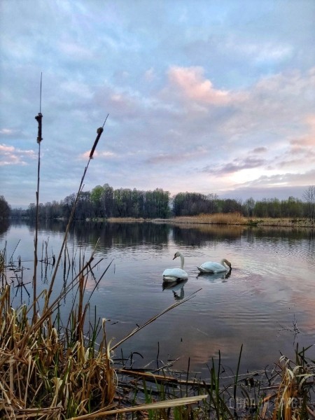 Читатель: Сегодняшнее утро в городе-спутнике Бреста (Жабинка). Красиво
Читатель: Сегодняшнее утро в городе-спутнике Бреста (Жабинка). Красиво