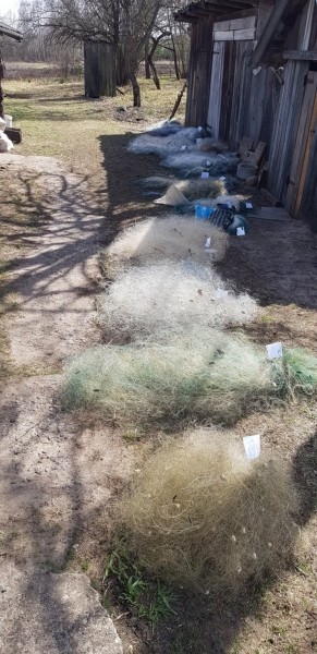 Госинспекция: граждане массово сдают сети. Добровольно!