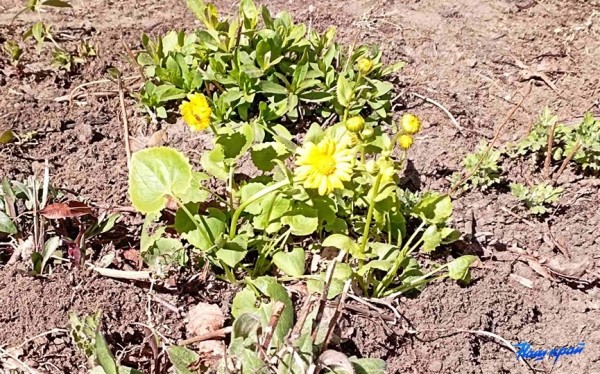 Апрельские котики и не только. Фотоподборка от «НК» Апрельские котики и не только. Фотоподборка от «НК»