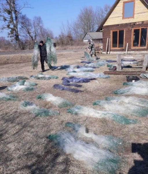 Госинспекция: граждане массово сдают сети. Добровольно!