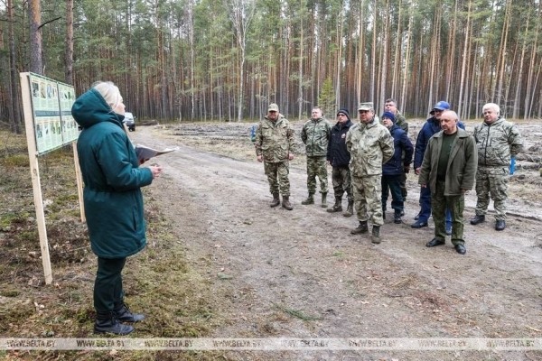 Около 3,5 млн деревьев высадят в Брестской области во время Недели леса Около 3,5 млн деревьев высадят в Брестской области во время Недели леса