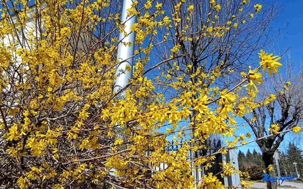 Апрельские котики и не только. Фотоподборка от «НК» Апрельские котики и не только. Фотоподборка от «НК»