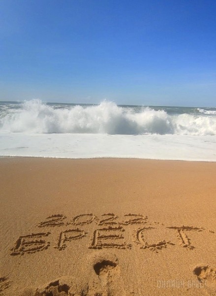 
                Читатель: Labenne, France. Побережье океана
            