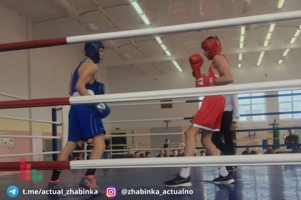 В Жабинке определяли лучших боксеров среди юношей