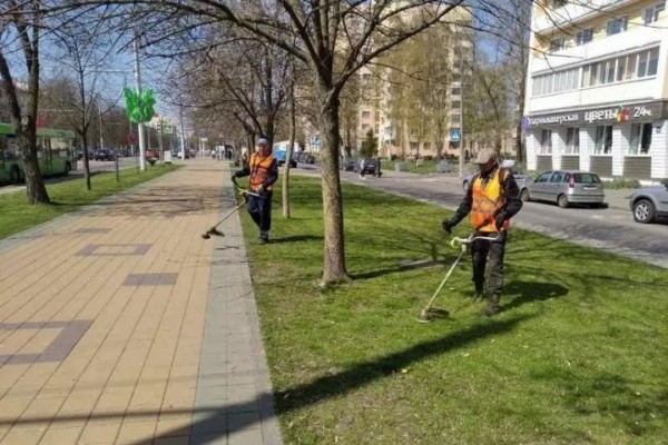 Брестские коммунальники приступили к активному покосу городских газонов Брестские коммунальники приступили к активному покосу городских газонов