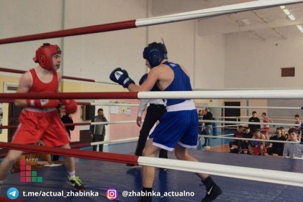 В Жабинке определяли лучших боксеров среди юношей