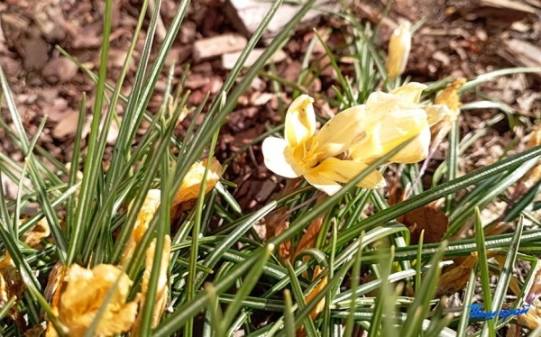 Апрельские котики и не только. Фотоподборка от «НК» Апрельские котики и не только. Фотоподборка от «НК»