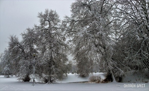 Читатель: Снежный апрель в Брестской крепости
             
                Читатель: Снежный апрель в Брестской крепости