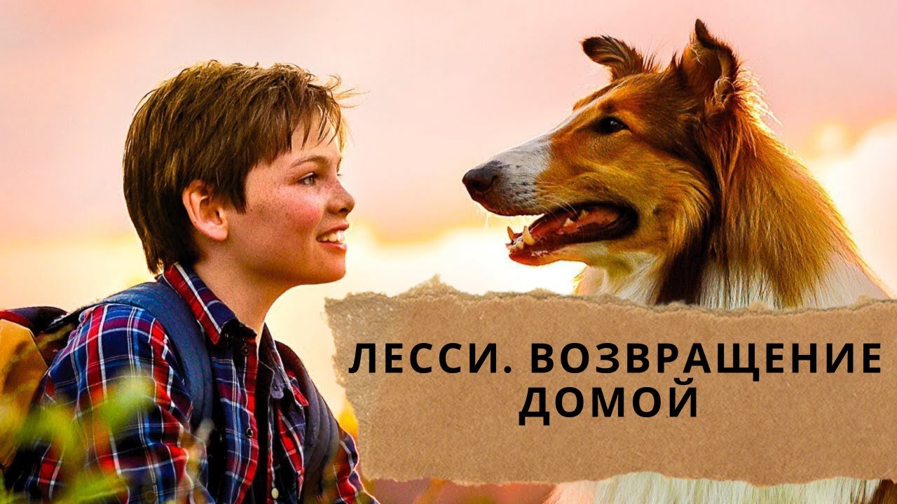 Животные в кадре: доброе кино в сервисе МТС ТВ для всей семьи