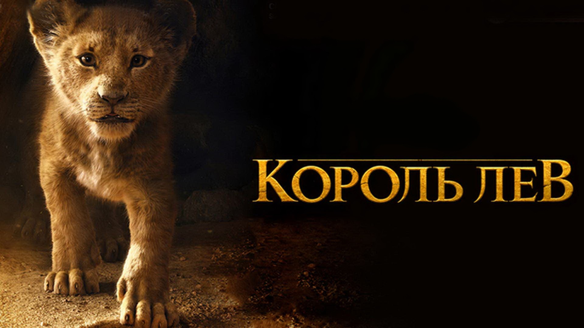 Животные в кадре: доброе кино в сервисе МТС ТВ для всей семьи