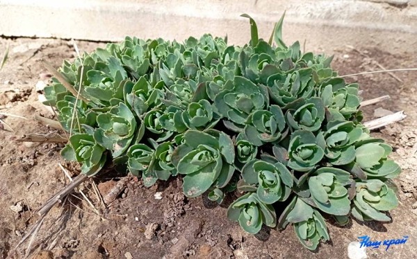 Апрельские котики и не только. Фотоподборка от «НК» Апрельские котики и не только. Фотоподборка от «НК»