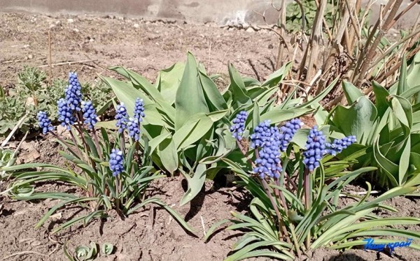 Апрельские котики и не только. Фотоподборка от «НК» Апрельские котики и не только. Фотоподборка от «НК»