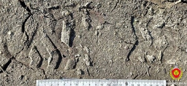 В Березовском районе со строящейся МТФ унесли километр кабеля и доильные аппараты В Березовском районе со строящейся МТФ унесли километр кабеля и доильные аппараты