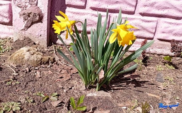 Апрельские котики и не только. Фотоподборка от «НК» Апрельские котики и не только. Фотоподборка от «НК»