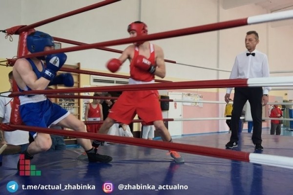 В Жабинке определяли лучших боксеров среди юношей