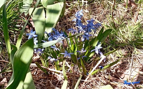 Апрельские котики и не только. Фотоподборка от «НК» Апрельские котики и не только. Фотоподборка от «НК»