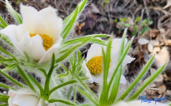 Апрельские котики и не только. Фотоподборка от «НК» Апрельские котики и не только. Фотоподборка от «НК»