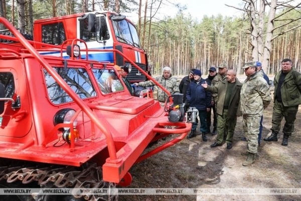 Около 3,5 млн деревьев высадят в Брестской области во время Недели леса Около 3,5 млн деревьев высадят в Брестской области во время Недели леса
