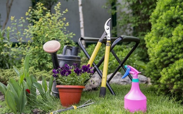 Для здоровья суставов и не только: врач дала рекомендации пожилым дачникам