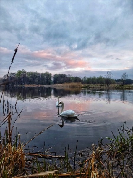 Читатель: Сегодняшнее утро в городе-спутнике Бреста (Жабинка). Красиво
Читатель: Сегодняшнее утро в городе-спутнике Бреста (Жабинка). Красиво